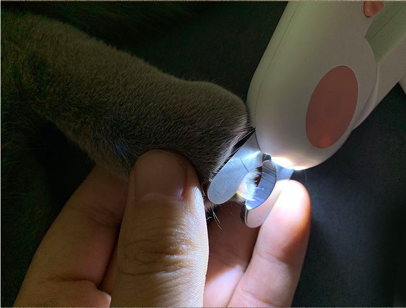 LED Krallenschere für Katzen und Hunde - Professioneller Krallentrimmer mit Beleuchtung